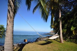 hammock.jpg hammock.jpg